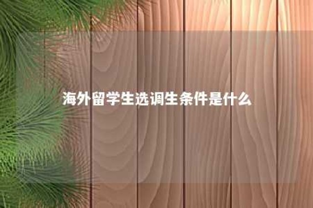 海外留学生选调生条件是什么 海外留学能考选调生吗