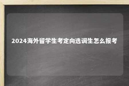 2024海外留学生考定向选调生怎么报考